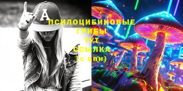 МДМА Новодвинск