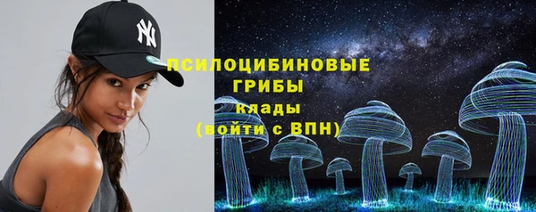 СК Новозыбков