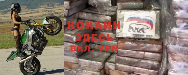 СК Новозыбков